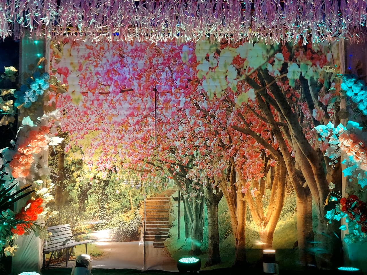 Holi Gallery Image 50